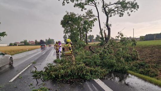 22 interwencje tczewskiej straży pożarnej po niedzielnych burzach