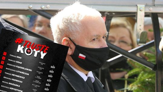 357 "tłustych kotów" PiS. Ludowcy pokazują listę nazwisk