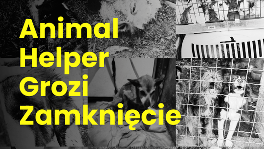 Animal Helper zakończy działalność 1 listopada?