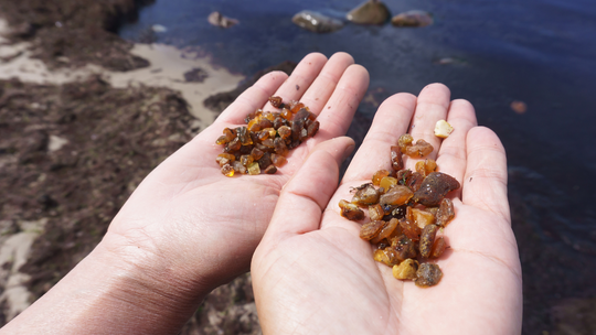 Bursztyny zamiast pogody. Plażowiczów zastąpili poszukiwacze [FILM]