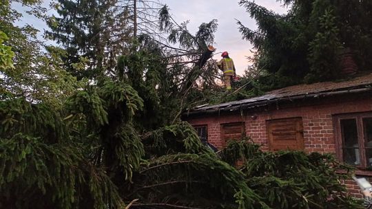 Burze przetaczają się nad Polską. Pozrywane dachy, połamane drzewa