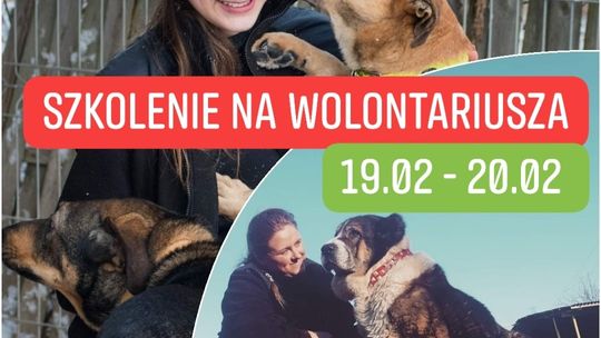 Chcesz zostać wolontariuszem w schronisku dla zwierząt? Zapisz się na szkolenie