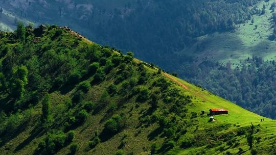 Ciekawa wycieczka do Iranu