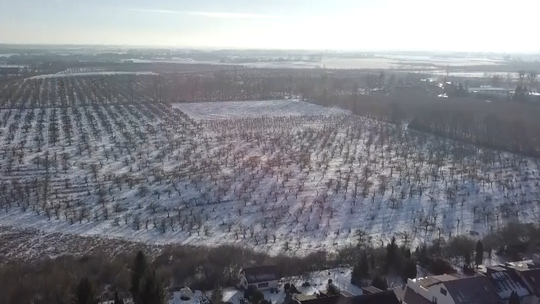 CKP wciąż bez decyzji. Zawieszone inwestycje czekają w Tczewie