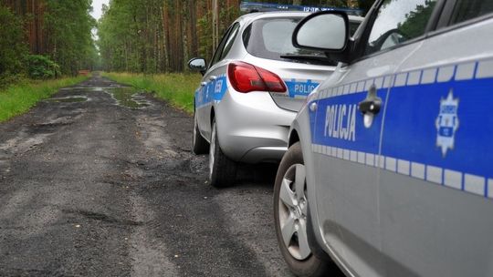 Czas poszukiwań zagubionych grzybiarzy. Pomorscy policjanci apelują o rozwagę podczas leśnych spacerów