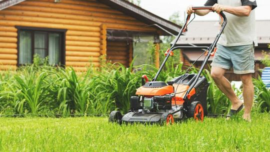 Czerwiec w ogrodzie. Czas na odpoczynek, ale są też obowiązki