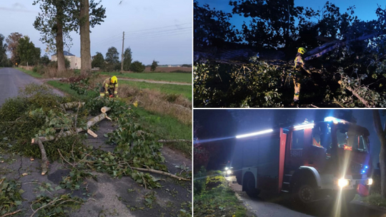 Cztery interwencje straży pożarnej w powiecie tczewskim