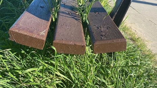 Czy rewitalizacja Parku Miejskiego w Tczewie to fikcja? Jest też kwestia dewastacji