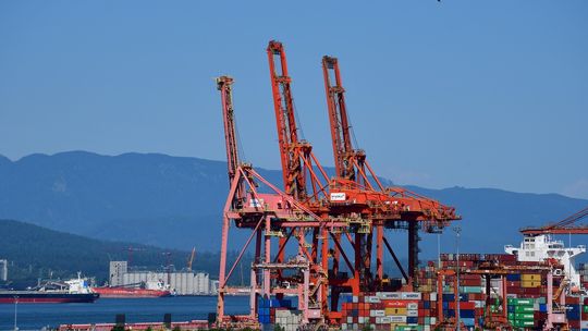 Czym charakteryzują się dźwigi Cattaneo?