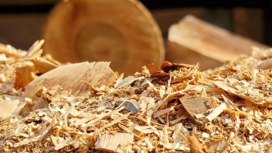 Dlaczego odciąg trocin to jedna z najlepszych inwestycji do warsztatu?