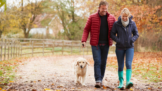 Długi weekend w listopadzie i dużo wolnego w grudniu