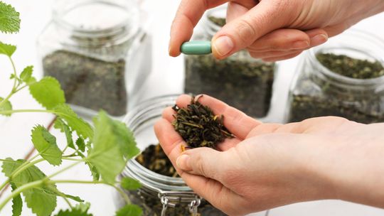 Dobre uczynki dla wątroby 