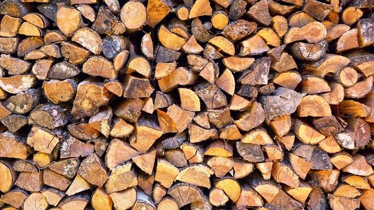 Drewno kominkowe - jak i czym skutecznie palić w kominku?