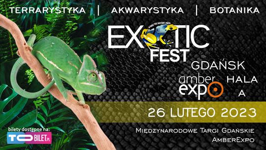 Exotic Fest, czyli największe targi terrarystyczne na Pomorzu