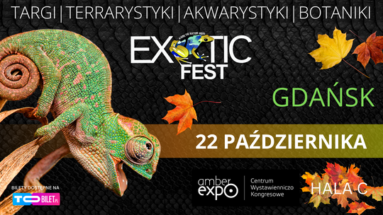 Przed nami Exotic Fest. 22 października w Gdańsku spotkają się miłośnicy egzotycznych zwierząt