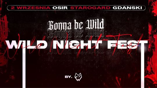 Festiwal muzyczny w Starogardzie Gdańskim. Wild Night Fest już w najbliższy piątek