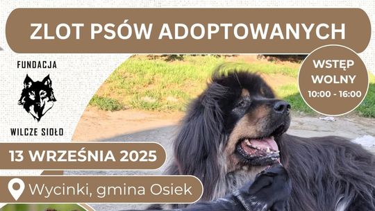 Fundacja Wilcze Sioło zaprasza na imprezę charytatywną i Zlot Psów Adoptowanych