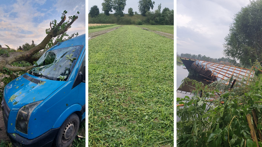Gmina Gniew: Rolnicy liczą straty po przejściu nawałnicy