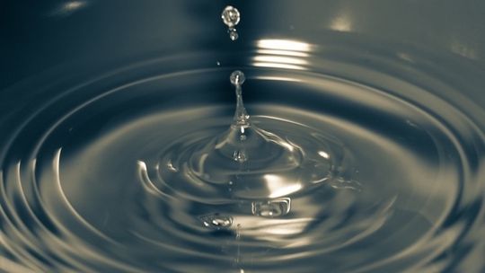 Gmina Tczew: GTKOM rozpoczyna działalność 1 stycznia. Co musisz wiedzieć?