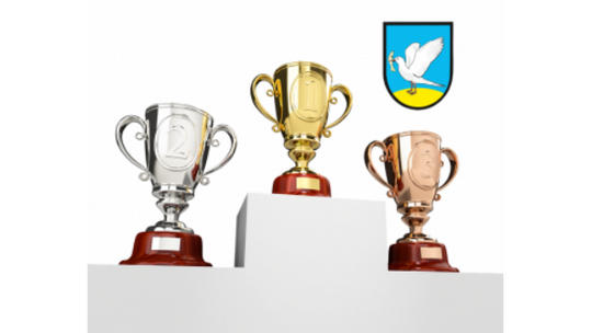 Gniew: Nabór wniosków do nagród dla utalentowanych sportowców