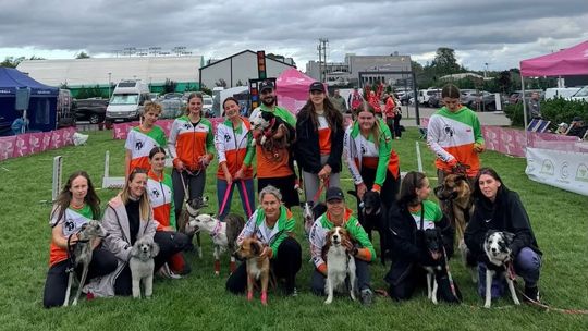 Historyczny sukces Ultra Flyball Team na zawodach! Pieski z naszego miasta zdominowały podium