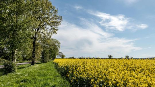 Insektycydy do jesiennej walki ze szkodnikami