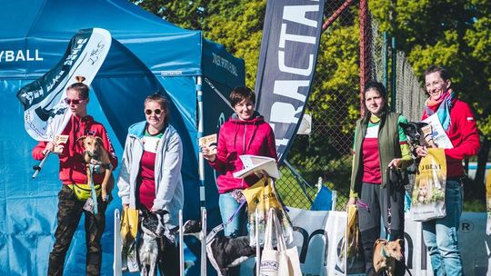 IV Ogólnopolskie Zawody Flyball w Tczewie już w sierpniu