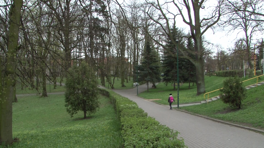 Jak będzie wyglądać Park Miejski w Tczewie? Do 18 grudnia każdy mieszkaniec może zapoznać się z nową koncepcją i zaproponować zmiany