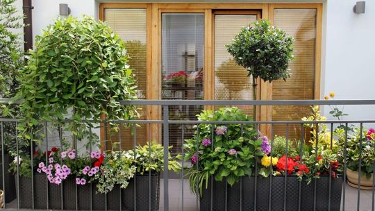 Jak niedrogo urządzić balkon?