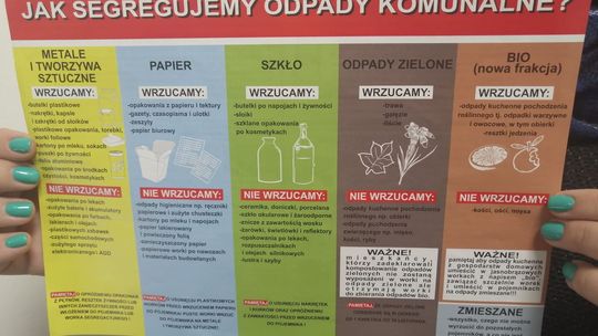 Jak prawidłowo segregować odpady? 