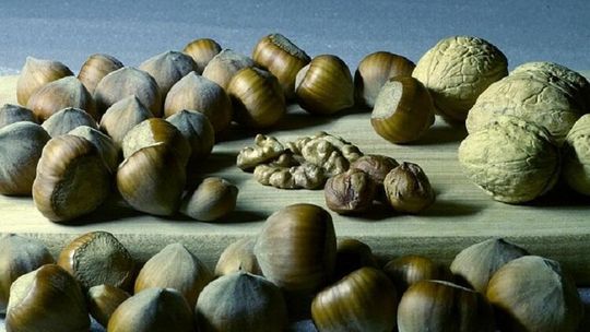 Jak przyjmować magnez, aby dobrze się wchłaniał?