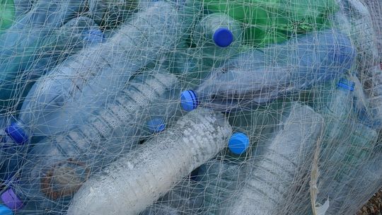 Jak wpływa plastik na środowisko? [ROZMOWA]