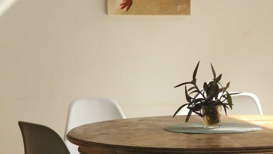 Jak wybrać idealne krzesła do jadalni?