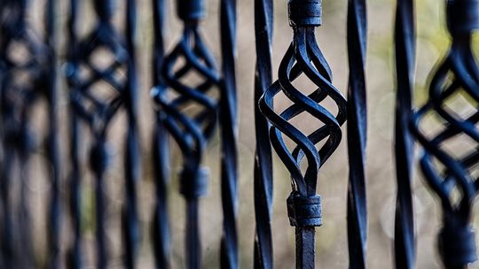 Jak Wybrać Idealne Ogrodzenie dla Swojej Posesji? Kompletny Przewodnik