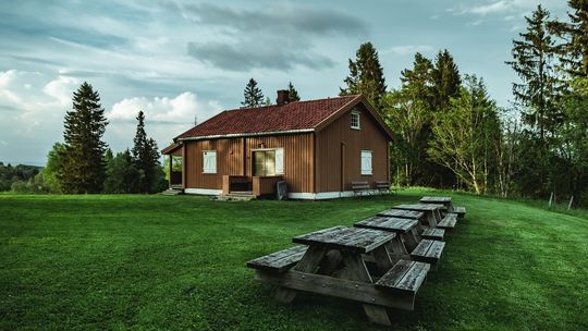 JAKIE DREWNO NA DOM DREWNIANY?