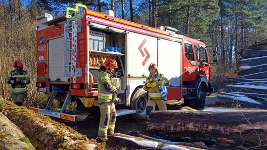 Już nie tylko policja. Protestuje cała mundurówka. W tle pieniądze