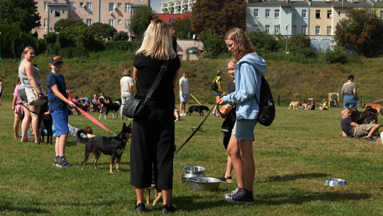 Kolejny spacer przyjaźni z tczewskim schroniskiem dla zwierząt