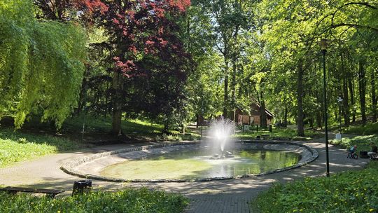 Konsultacje w sprawie zmian klimatu. Co zrobiłbyś w Tczewie?