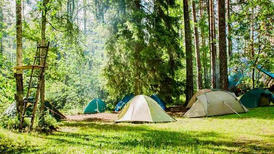  Lasy Państwowe udostępniają tereny na biwaki namiotowe. Majówka jak za dawnych czasów