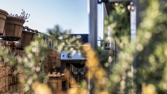 Majówka 2025. Gdzie grillować bez obaw, że zapłacimy mandat?