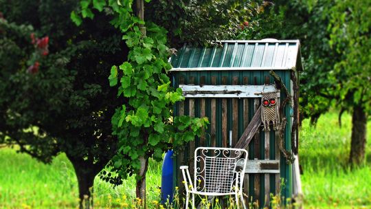 Miasto wspiera Rodzinne Ogrody Działkowe