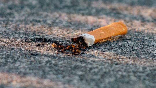 Mieszkańcy zdecydują o zakazie palenia na placu Hallera