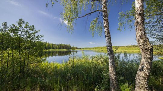 Nadolanka – kulinarna podróż w sercu natury