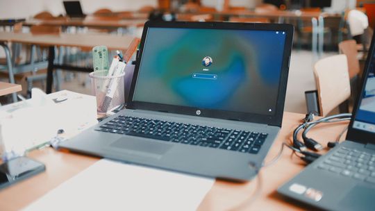 Najważniejsze programy, które warto mieć na komputerze z systemem Windows