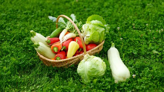 Nasiona warzyw od polskich producentów