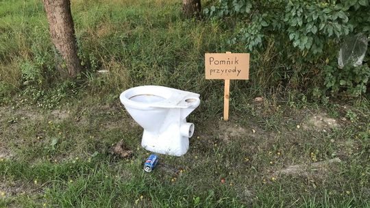 Nietypowy "pomnik przyrody". Czy musimy tak śmiecić?