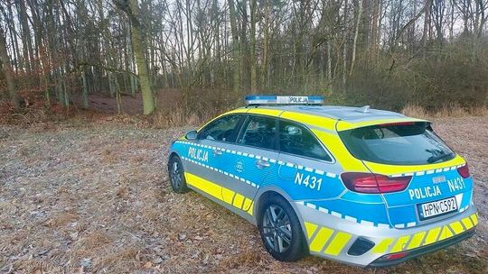 Niewybuchy z czasów II wojny światowej znalezione w lesie