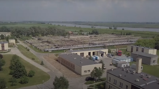 Poszukiwana, poszukiwany. ZWiK szuka nowej osoby do zarządzania spółką