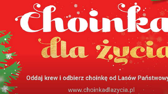 Oddaj krew 16 grudnia i odbierz choinkę na święta