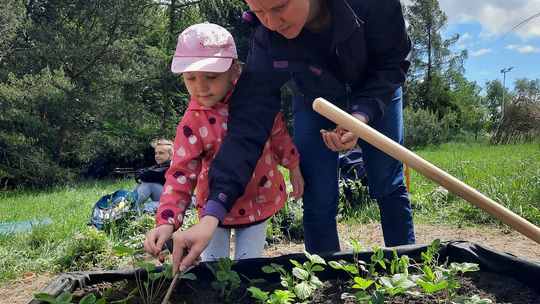 Ogród Miejski zaprasza na kolejne spotkanie! W planach wysiewanie marchwi i cebuli oraz opowieści o Tczewie